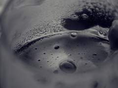 [우럭 장례식] 23. 찾아야지