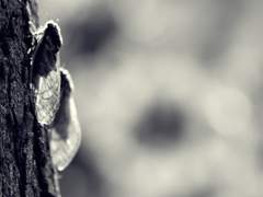 [우럭 장례식] 30. 역할