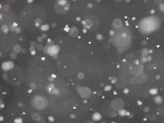 [우럭 장례식] 에필로그 - 결말 이후, 어느 겨울.