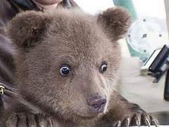 모방소비 끝판왕 ~솜인형 갠제하기~ 1편