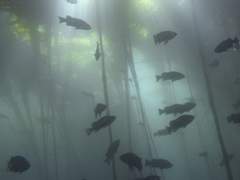 문스트럭러브 1