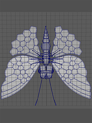 Maya study_By. Maya Ok