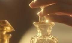 그레빌레아 로부티스타 / 24 / 천사