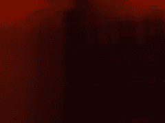 희극이고 싶었으나 비극이었더라