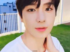 귀여운 게 최고야