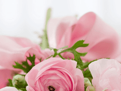 슈트라이허 씨는 외로워!