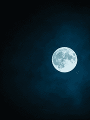 호랑이님의 말씀대로