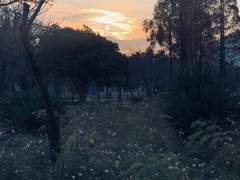 [돈웉]어쩌다 보니