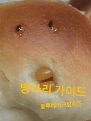 병아리 가이드