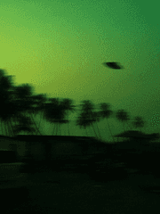 하마다아사히의 재난