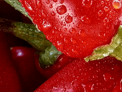 최성회 XX 히어로 스파이시