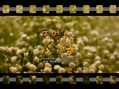 [아리사아야]추억 속의 안개꽃