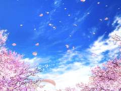 베라 프레처 XX 19