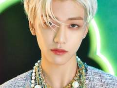 개냥아치 가이드 10