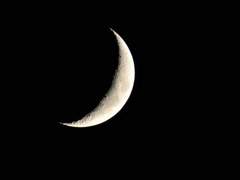 46. 쿠로카와 이자나와 시바(柴) 가문 성씨(姓氏)와의 상관관계