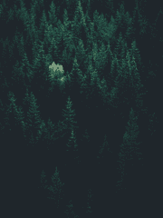 DODONOT <계획과 목표설정>