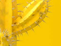 까짓거 함 해보죠.