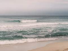 테스타와 재회하는 배우 류건우 (통합본)