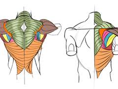 2022년 12월 31일 (토) <해부학>