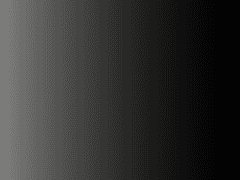 花落憐不掃 月明愛無眠