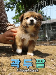 커미션 완성본 모음