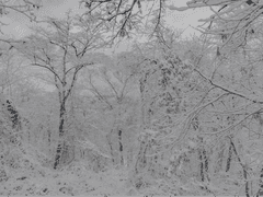 우리가 서로 같음이 우리의 불행의 이유가 되었나