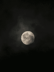 토트 타로 카드