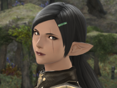 커미션 신청용_오르카 드 피에리티다