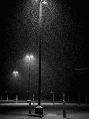 망령이 머무는곳