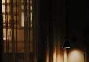 상록수를 볼 수 있으리까?