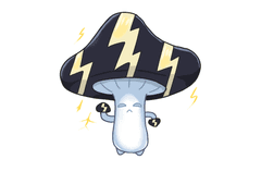 6. 일레트릭룸바