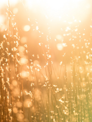 함께 걸어 나아가는 세계.