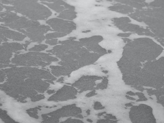 [세븐틴/우른] 실험체 1122 (5)