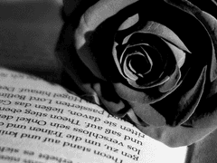 네가 손수 그려낸 악보는