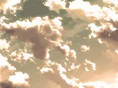 유치원 곰 선생님