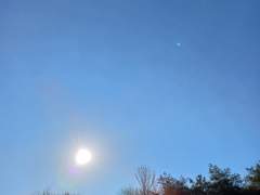 버선발로 뛰어 새 님 맞이하네!