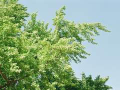 이정도는 누구나 버티는 일 아닐까? 6