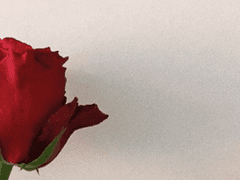 Into the world of fantasy