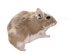 반려동물 커미션 작업물 모음