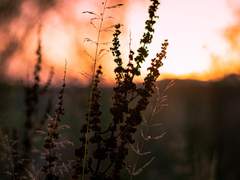 여름과 작별한다.