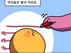 병아리 선생님 14화 - 아이들은 자란다