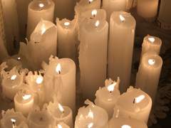 이 지독하게도 행복한 녀석은