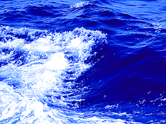 유난히도 시리던 그 여름의 파도야.