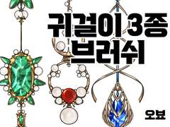 귀걸이 3종 브러쉬