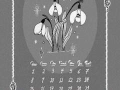 2023. January. 스노우드롭