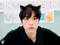 고양이와 동거하기 外 What if 上