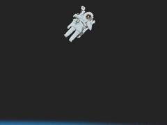 일생과 우주의 한가운데