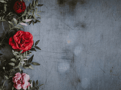 네가 나의 과오라면 03