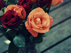 [유진래빈] Find you