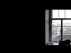 [여국랭글] 거미 여인의 키스 05